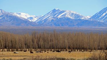 La nieve esta semana en la cordillera iglesiana, una esperanza de agua para el verano sanjuanino.&nbsp;