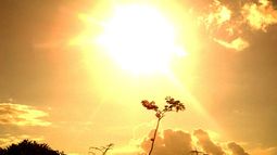 El calor, con ganas de quedarse: así estará el tiempo este domingo en San Juan El calor, con ganas de quedarse: así estará el tiempo este domingo en San Juan