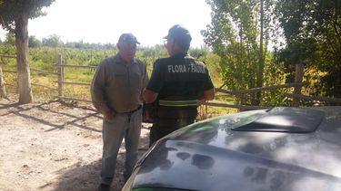 Gran despliegue detrás de los supuestos pumas de Pocito