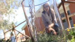 Mirá las fotos ganadoras del concurso de OSSE