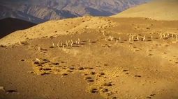 El 25 de Mayo festejalo con este himno, con imágenes sanjuaninas