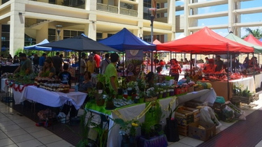 La Feria Agroproductiva vuelve al Centro Cívico.