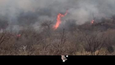¡Gran noticia! Después de dos días pararon el incendio forestal en Valle Fértil
