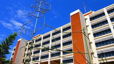 ¿Habrá asueto en las vísperas de las fiestas?