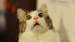 ¿Sin campera?: mirá cómo estará el clima en San Juan este lunes