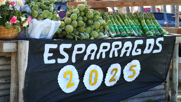 La Fiesta del Espárrago y el Alcaucil llenó de sabor y disfrute al Predio Gaucho José Dolores.