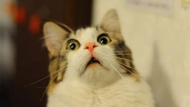 ¿Se viene el frío? Así estará el tiempo este jueves en San Juan