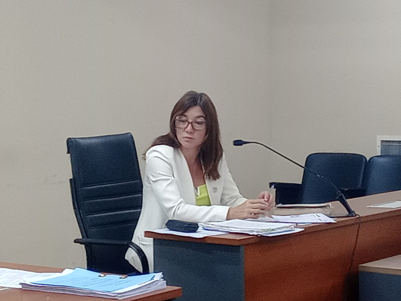 Abogada defensora oficial, Sandra Leveque.