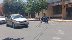 El llamativo método que usaron vecinos de una zona del centro sanjuanino para advertir sobre un profundo bache en medio de la calle.
