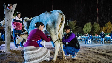 La Fiesta del Queso y el Quesillo, en Valle Fértil, ofrece la representación en vivo de “La Lechada”, una puesta que rescata las tradiciones y costumbres vinculadas a la elaboración de los productos lácteos de la zona.