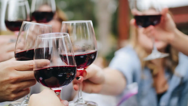 Vino para novatos: cinco tips de una sommelier sanjuanina para degustar la bebida nacional