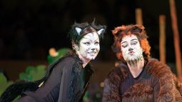 El Gato con Botas, la nueva propuesta del Teatro del Bicentenario