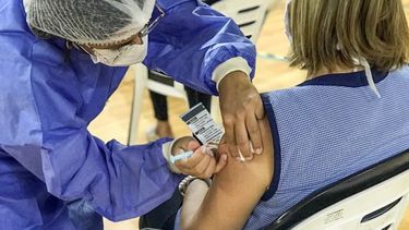 &nbsp; vacunación&nbsp;