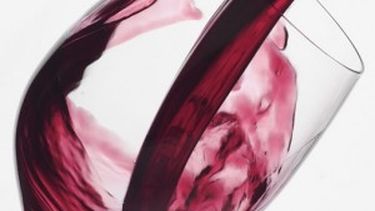 Los vinos sanjuaninos, protagonistas