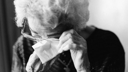 Imagen ilustrativa. Imagen ilustrativa.