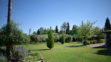 De queso de cabra a comida vegana, disfrutá de un 25 de mayo a todo sabor en Chimbas