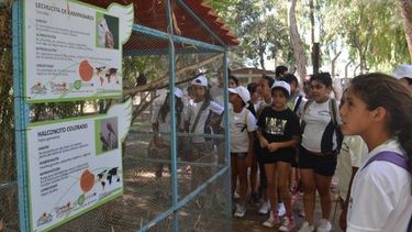 Por el fuerte viento, cerraron el Parque Faunístico