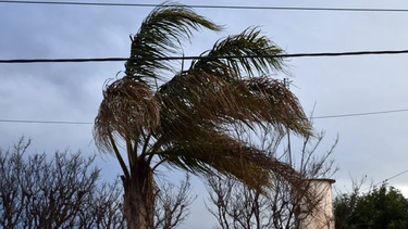 Alerta amarilla: a qué hora se espera la llegada del viento Sur al Gran San Juan