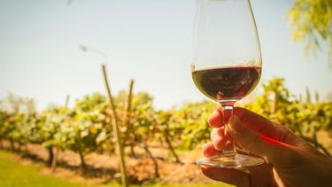 El sector del vino y el DNU de Milei: que pasará&nbsp; con organismos clave.&nbsp;