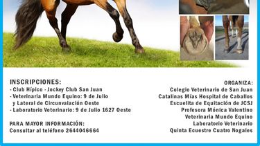 Curso de podología equina en el club hípico