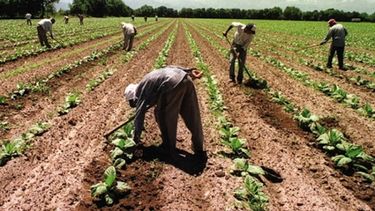 Habrá atención virtual para los trabajadores rurales