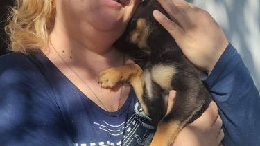 Final feliz: uno de los cachorros rescatados en Albardón fue dado en adopción