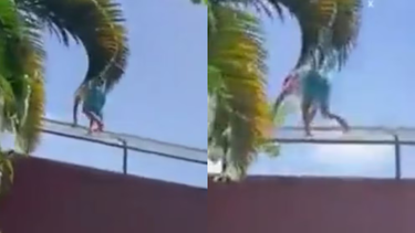 Un joven murió tras ingresar a la jaula de una leona en un zoológico: quería ser domador