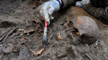 Encontraron una fosa común con restos humanos en Los Berros