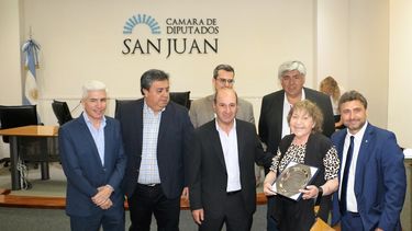 Falleció la dirigente bloquista Gladys Pósleman, ex diputada provincial de San Juan