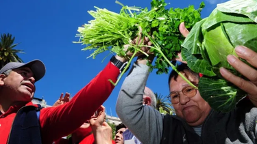 Rawson y Capital serán epicentros de un Verdurazo y Feriazo Nacional