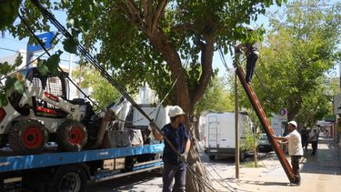 Operarios de la compañía de luz buscan reestablecer el servicio.