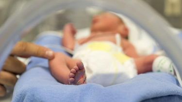 Apareció la madre del bebé abandonado en el Rawson: su explicación