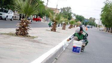 Mirá cómo quedó una calle del centro muy usada, que fue remozada