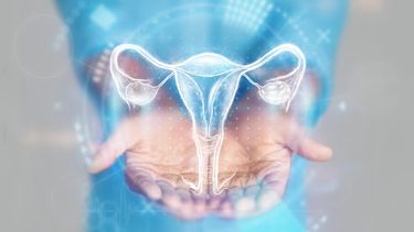 Un fármaco contra el cáncer de pulmón podría potenciar terapias en tumores de ovario resistentes