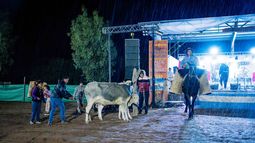 La fiesta que nació por iniciativa de una pequeña comunidad y sobrevive a las adversidades