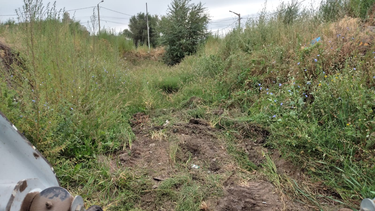 Rivadavia libre de baldíos