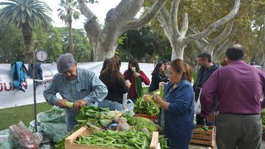 Verduras buenas y baratas: vuelve la Feria Agroproductiva