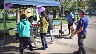 Los municipios se sumaron a la campaña Yo me ocupo: de qué se trata