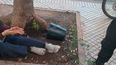 La mujer sufrió una herida menor tras recibir el impacto de la maceta. La mujer sufrió una herida menor tras recibir el impacto de la maceta.