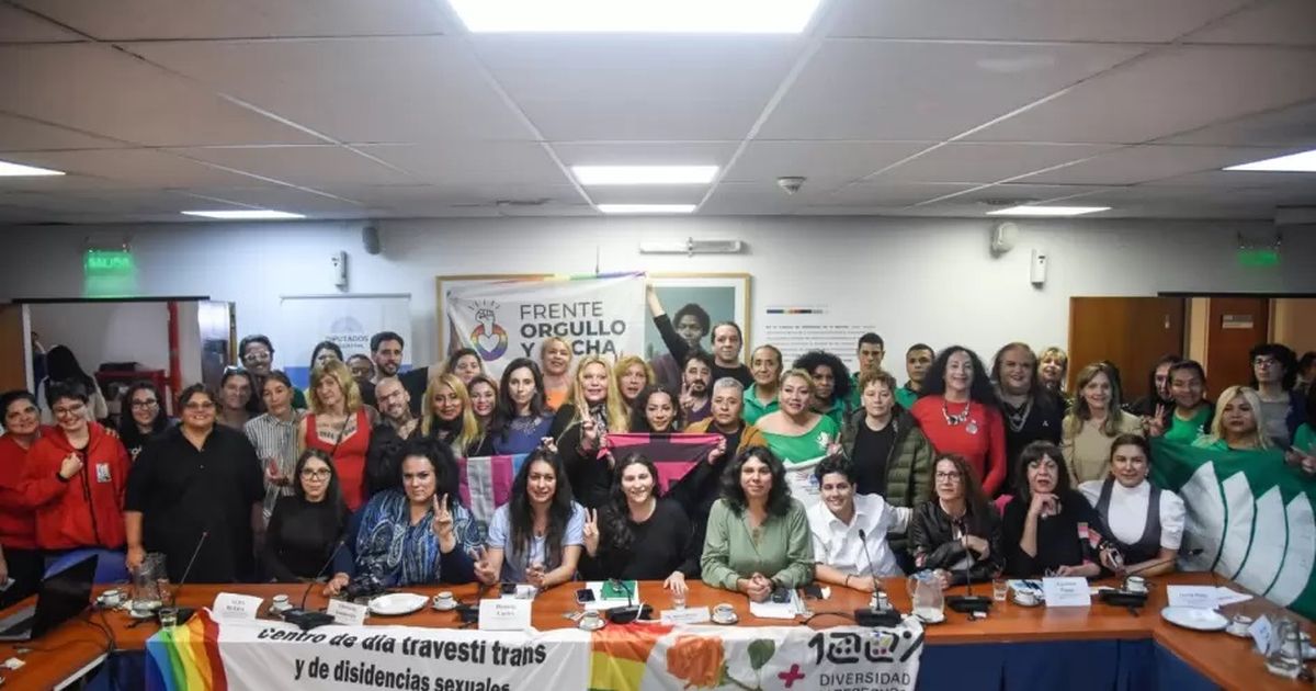 Diputados Analizó La Creación De Una Pensión Preparatoria Para Personas Travestis Y Trans 7253