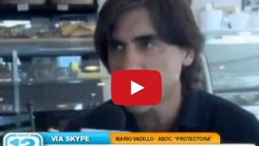 Enterate cómo reclamar para quedarte con los números free