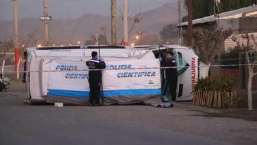 Video: los casos más tristes y los hechos policiales locales más escandalosos del 2019