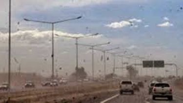 Semana de locos: frío, calor, y ahora un zonda brutal