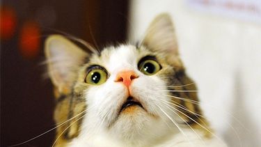 ¿Encerrado o al aire libre?, este lunes de feriado así estará el clima en San Juan