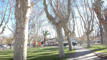 El riego en San Juan cambiaría por completo en marzo de 2016