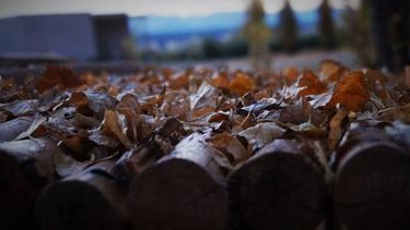 Se terminaron los calorcitos de otoño