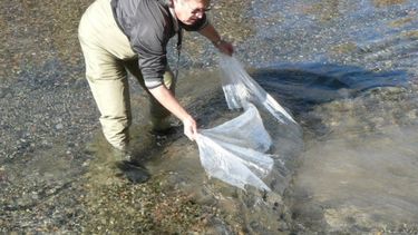 Con el río Castaño, arrancó un monitoreo de todos los ríos sanjuaninos