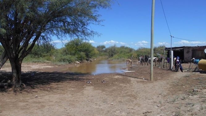 Los ranchos, imperturbables tras la lluvia y el sismo
