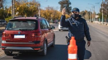 Más de 340 arrestados este fin de semana: ¿cuáles fueron las infracciones que más se cometieron?