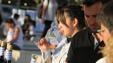 Mirá cómo los sanjuaninos vivieron el Día del Vino Bebida Nacional